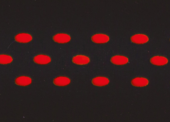 BRN Nastro Dots-rosso